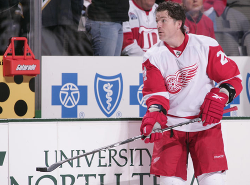 Brad May has been a disappointing enforcer for the Detroit Red Wings