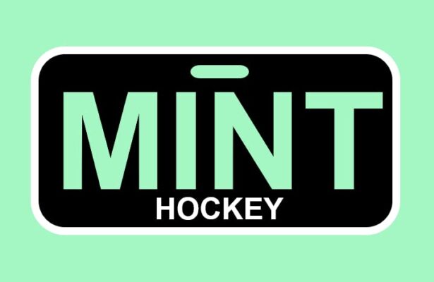 Mint Hockey Shooting Pads